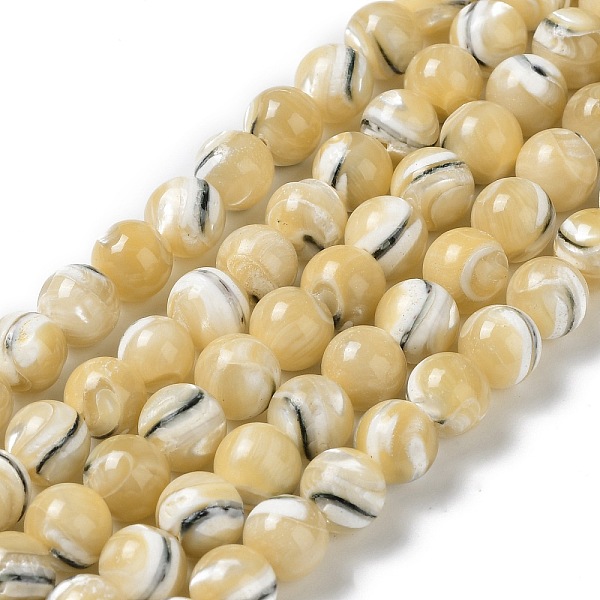 

PandaHall Natural Trochus Shell Beads Strands, Round, Goldenrod, 7.5~8mm, Hole: 0.5mm, about 50~52pcs/strand, 15.35''~15.55''(39~39.5cm)..., Gold