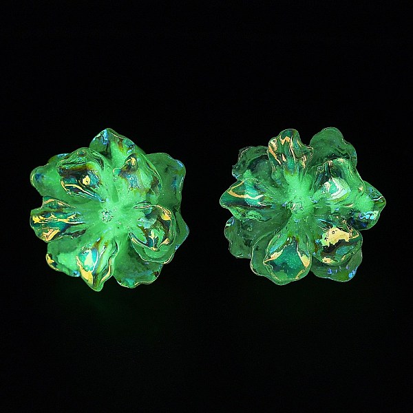 

PandaHall Luminous Glow in the Dark Resin Flower Stud Earrings with 304 Stainless Steel Pins, Beige, 24.5x23mm Resin Flower Yellow