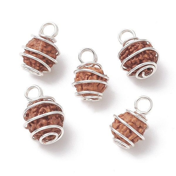 

PandaHall Natural Rudraksha Copper Wire Wrapped Pendants, Barrel Charms, Undyed, Silver, 15~17.5x11~12x10.5~11.5mm, Hole: 3mm Wood Barrel