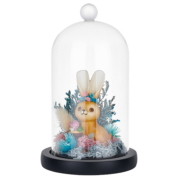 

PandaHall PH Glass Cloche Bell Jar Display Dome Case with Wood Base Glass Decoration Bottles for Plants Flower Display Clay Succulents..., Black