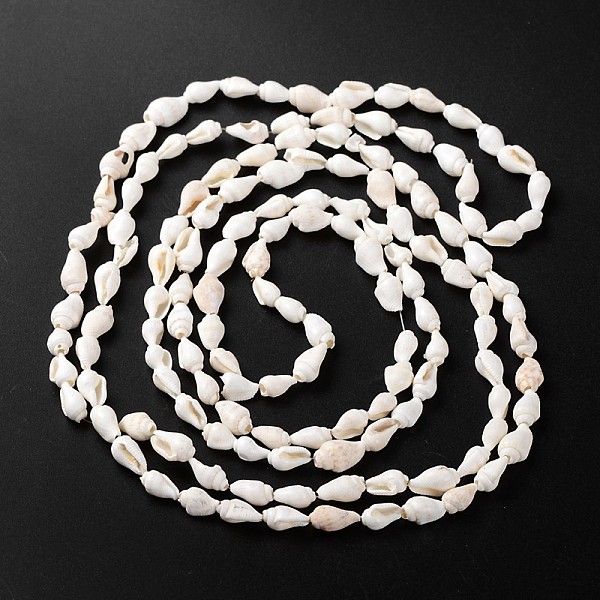 Natural Sea Shell Conch Bead Strands