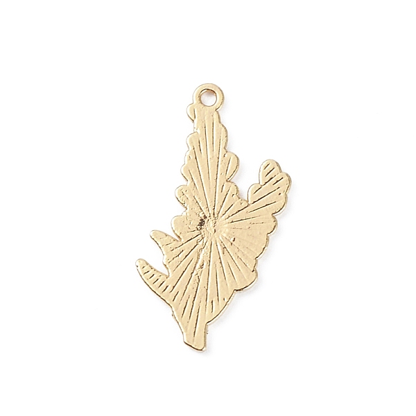 

PandaHall Light Gold Plated Alloy Enamel Pendants, Flowers, Medium Orchid, 34x18.5x1.5mm, Hole: 1.8mm Alloy+Enamel Flower