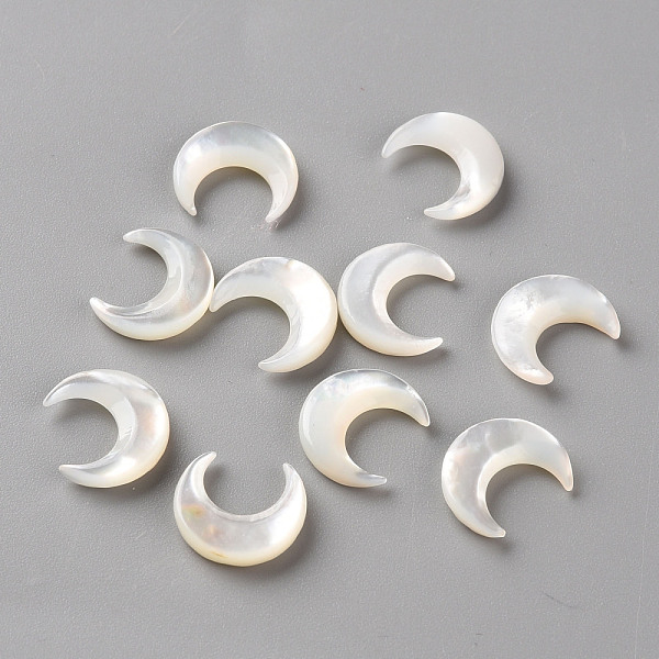 Perles De Coquillage Blanc Naturel