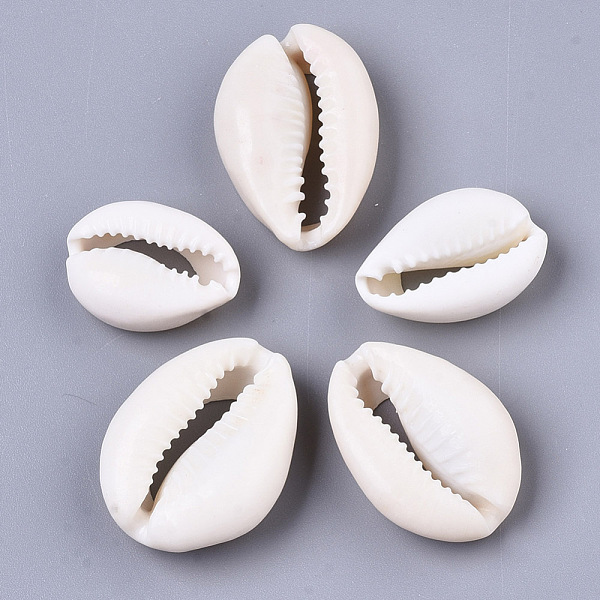 Natürliche Kaurimuschel Perlen