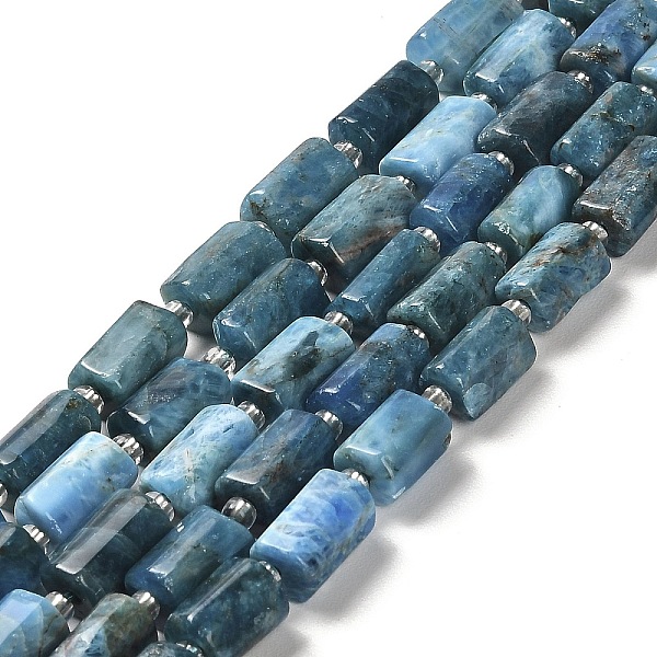 

PandaHall Natural Apatite Beads Strands, with Seed Beads, Faceted, Column, 8.5~11x5.5~6.5mm, Hole: 1mm, about 14~15pcs/strand, 7.48''(19cm)...