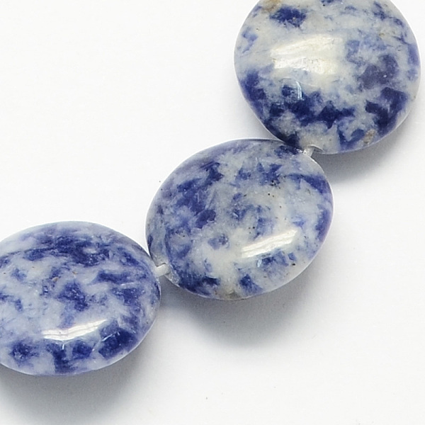 

PandaHall Natural Blue Spot Jasper Beads Strands, Flat Round, 12x5mm, Hole: 1mm, about 33pcs/strand, 15.7 inch Blue Spot Jasper Flat Round...