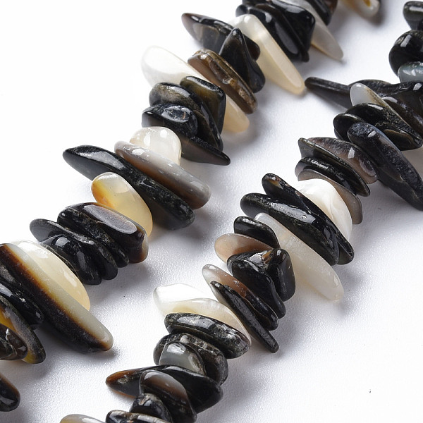 

PandaHall Natural Black Lip Shell Bead Strands, Nuggets Chips, Black, 4~22x3~10x0.5~5mm, Hole: 1mm, about 79~82pcs/strand, 6.89 inch(17.5cm)...