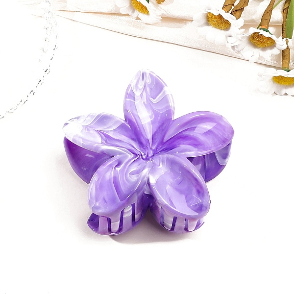 Resin Claw Hair Cli… - image