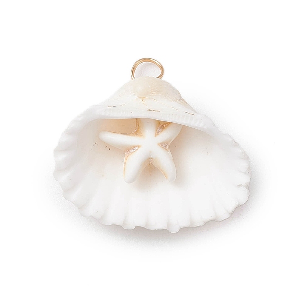 

PandaHall Summer Beach Natural Shell Pendants, Dyed Synthetical Turquoise Star Charms, Light Gold, White, 25~30x27~35x12~15mm, Hole: 4~4.5mm...