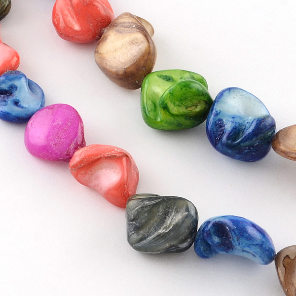 

PandaHall Dyed Natural Freshwater Shell Nuggets Bead Strands, Colorful, 13~18x10~18x8~15mm, Hole: 1mm, about 24pcs/strand, 15.7 inch...
