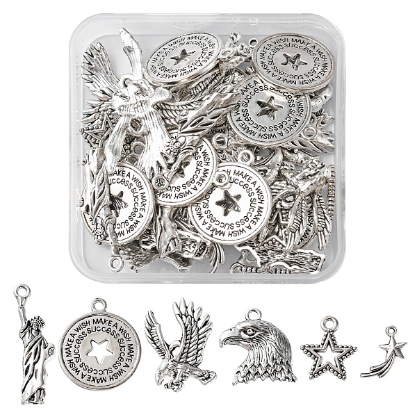 

PandaHall 48Pcs 6 Styles Tibetan Style Alloy Pendants, Star & Eagle/Hawk & Statue of Liberty:, Antique Silver, 16~34x9.6~24.7x1.5~6mm, Hole...