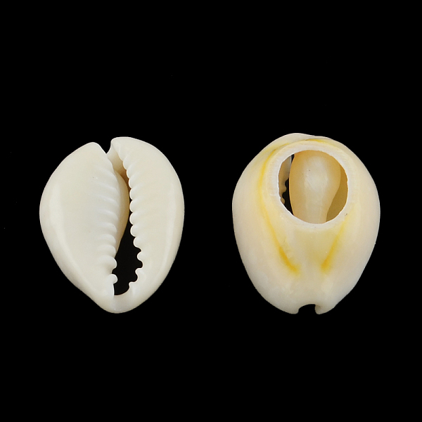 Natürliche Gemischte Kaurimuschel Perlen