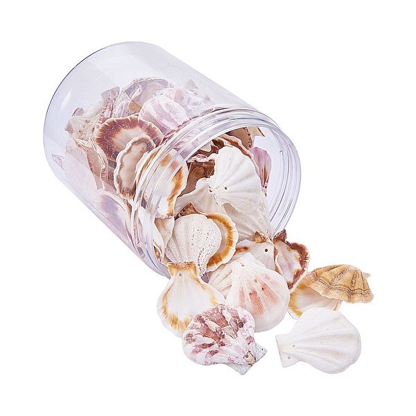 

PandaHall Natural Trumpet Shell Beads, Goldenrod, 39~45x37~42x6~7mm, Hole: 2mm, about 50~72pcs/box Spiral Shell Others Gold