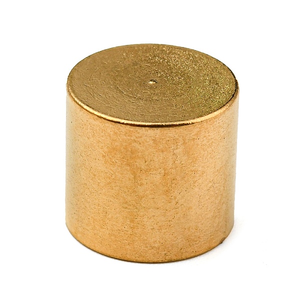 

PandaHall 304 Stainless Steel Cord Ends, End Caps, Column, Golden, 10x11mm, Inner Diameter: 10mm 304 Stainless Steel Column