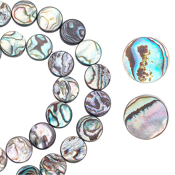 

PandaHall 1 Strand Natural Abalone Shell/Paua Shell Beads Strands, Flat Round, 12x3.5mm, Hole: 0.6mm, about 31~35pcs/strand, 15.94''...