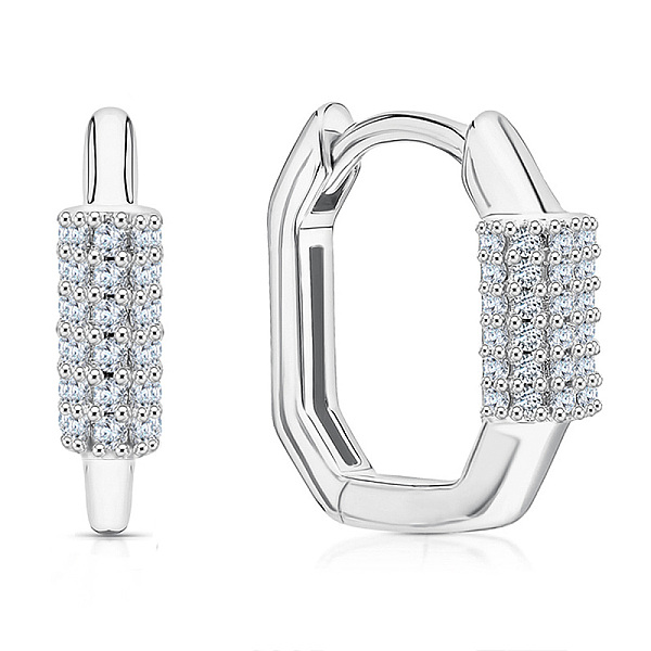 

PandaHall 925 Sterling Silver Micro Pave Clear Cubic Zirconia Hoop Earrings for Women, Platinum Sterling Silver Clear