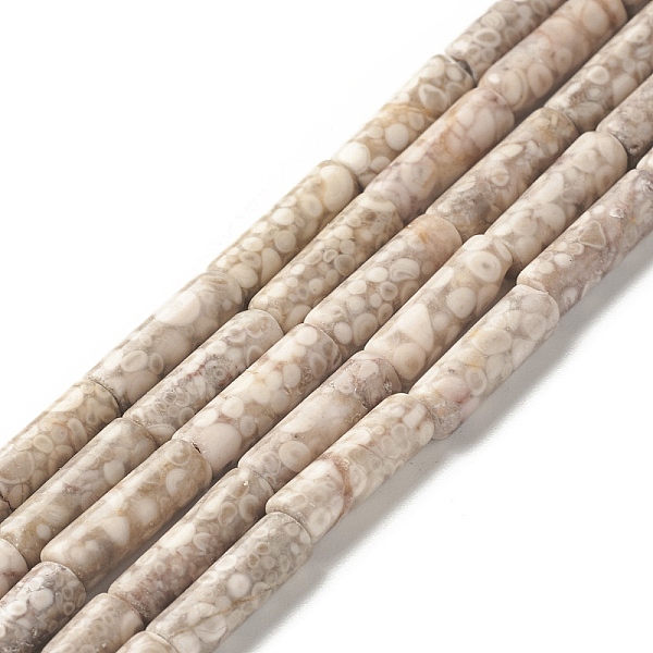 

PandaHall Natural Maifanite/Maifan Stone Beads Strands, Column, 13.5x4mm, Hole: 0.5mm, about 29pcs/strand, 15.43 inch(39.2cm) Maifanite...