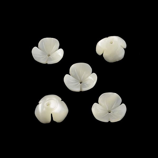 

PandaHall Flower Natural Trochid Shell/Trochus Shell Beads, Beige, 9~10x3mm, Hole: 1.5mm Trochus Shell Flower Yellow