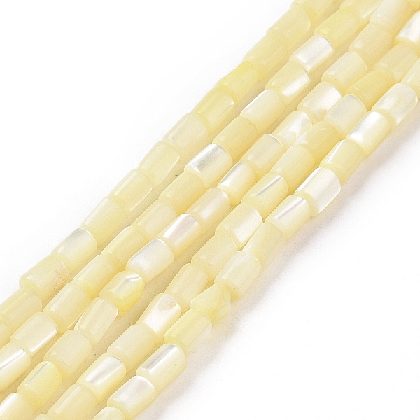 

PandaHall Natural Trochus Shell Beads Strands, Dyed, Column, Light Goldenrod Yellow, 5x3mm, Hole: 0.8mm, about 82~83pcs/strand, 15.63''...