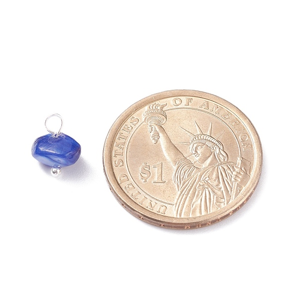 

PandaHall Natural Chip Dyed Shell Charms, with Brass Loops, Mixed Colors, Silver, 8~9x5~10x4.5~7mm, Hole: 3.5mm Freshwater Shell Chip..., Multicolor