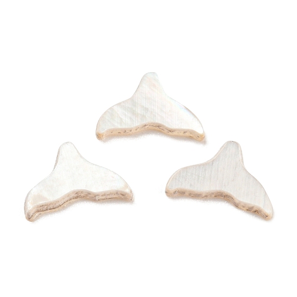

PandaHall Natural Sea Shell Cabochons, Fish Tail, White, 4.5x7.5x1mm Sea Shell Fish White