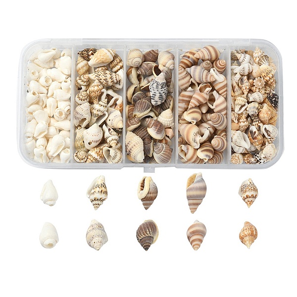 

PandaHall 5 Styles Mixed Natural Shell Beads, No Hole, Mixed Shapes, Mixed Color, 6~20x3~11x3~9mm, 54g/box Mixed Shell Mixed Shapes..., Multicolor
