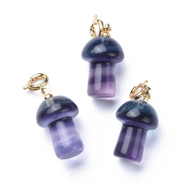 

PandaHall Carved Natural Fluorite Pendants, with Brass Spring Ring Clasps, Long-Lasting Plated, Mushroom, Golden, 28mm, Pendant: 20x11.5mm...
