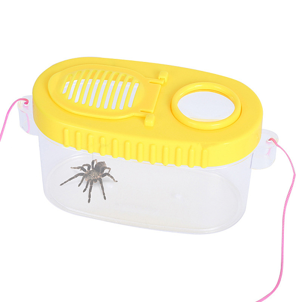 Lupa De Caja De Plástico Portátil Con Visor De Insectos