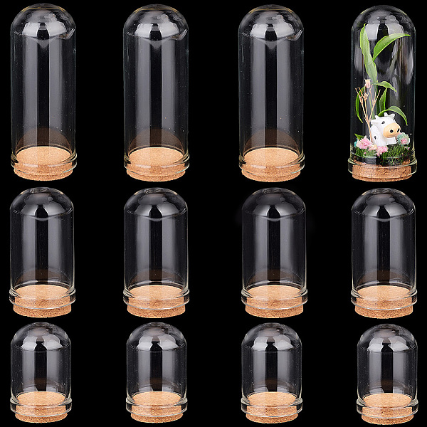 

PandaHall PH 12pcs Glass Display Dome Cloche, 3 Size Glass Bell Jar with Cork Base Glass Bottles Dome Decorative Jars Display Case for..., Clear