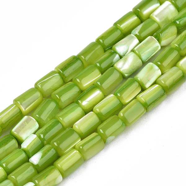 

PandaHall Natural Trochid Shell/Trochus Shell Beads Strands, Dyed, Column, Yellow Green, 4~5x3~3.5mm, Hole: 0.9mm, about 77~78pcs/strand...