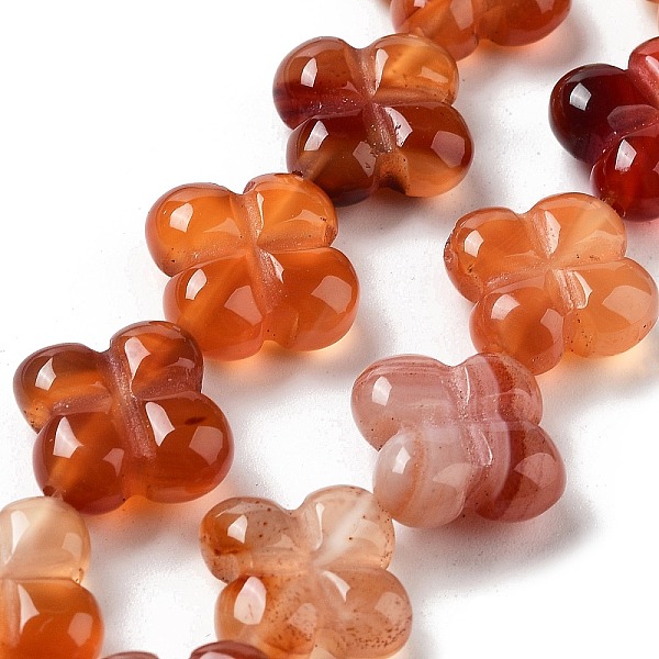 

PandaHall Natural Red Agate Beads Strands, 4-Petal Flower, 14x14x5.5mm, Hole: 1.2mm, about 15pcs/strand, 7.87''(20cm) Red Agate Flower