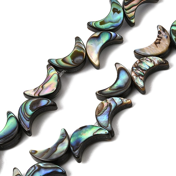 Natural Abalone Shell Paua Shell Beads Strands