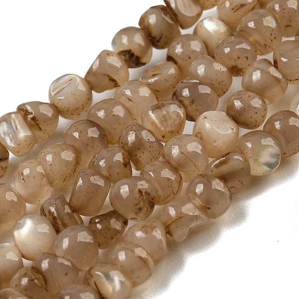 

PandaHall Natural White Shell Dyed Beads Strands, Nuggets, Camel, 2.5~3.5x3~3.5x2~3.5mm, Hole: 0.4mm, about 139pcs/strand, 15.16''(38.5cm)..., Brown