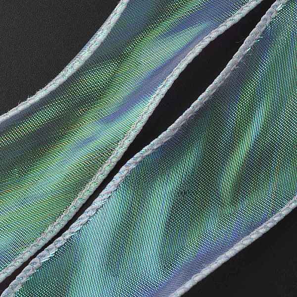 

PandaHall Flat Rainbow Color Organza Ribbon, Iridescent Ribbon for Bowknot, Flower, Gift Decoration, Silver, 1-5/8~1-3/4 inch(40~43mm), 10...