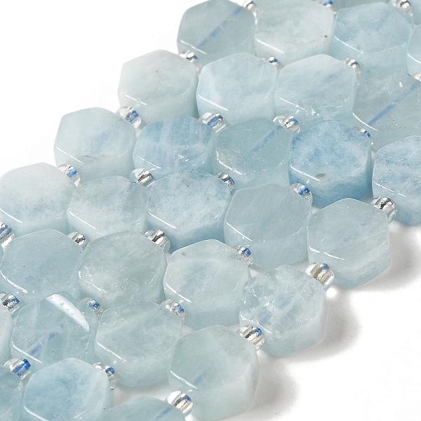 

PandaHall Natural Aquamarine Beads Strands, Hexagon, with Seed Beads, 8.5~9x8.5~10x4~5mm, Hole: 1mm, about 17~18pcs/strand, 7.48''(19cm)...