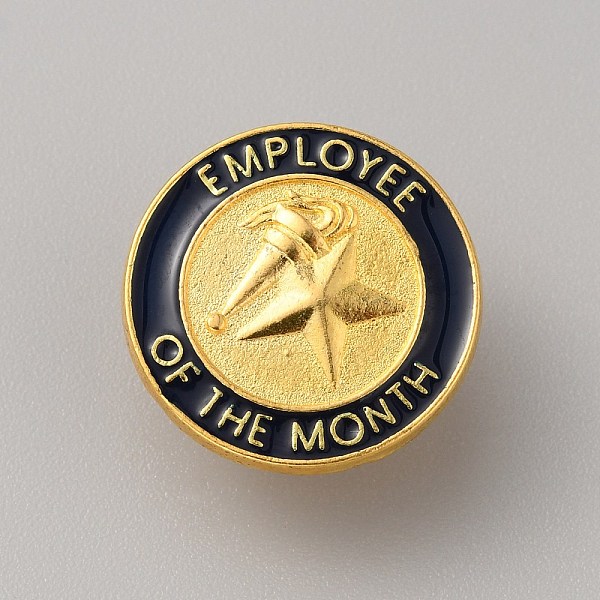 

PandaHall Positive Reward Encourating Word Star Performer Enamel Pin, Golden Zinc Alloy Star Badge for Backpack Clothes, Black, 20.5x1.5mm...