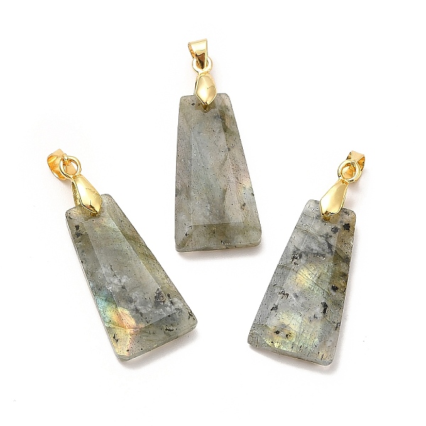 

PandaHall Natural Labradorite Pendants, Faceted Trapezoid Charms, with Rack Plating Golden Tone Brass Findings, Cadmium Free & Lead Free...