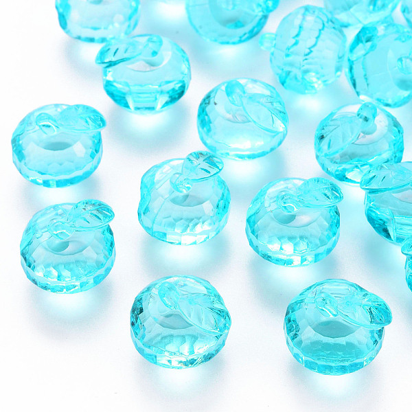 Transparent Acrylic Pendants