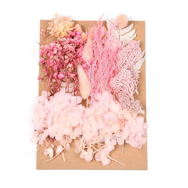 

PandaHall Dried Flower, for Bridal Shower, Wedding, Preserved Fresh Flower, Pink, 210x148x14~24.5mm Dried Flower Pink