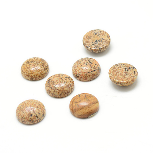 

PandaHall Natural Picture Jasper Gemstone Cabochons, Half Round, 16x6mm Picture Jasper Half Round