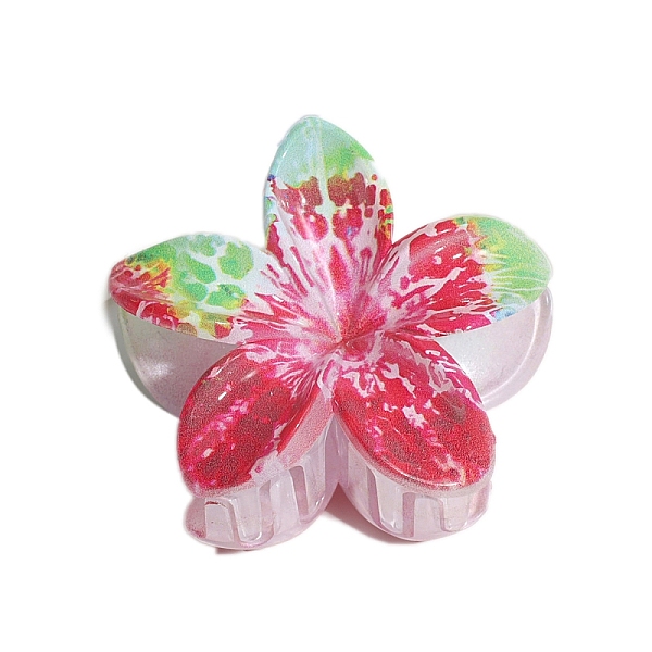 Resin Claw Hair Cli… - image