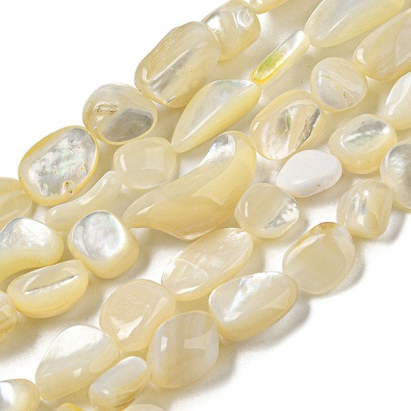 

PandaHall Natural White Shell Beads Strands, Nuggets, Beige, 8~19.5x8~13.5x3.8~9mm, Hole: 0.8mm, about 31~35pcs/strand, 14.57~15.16''..., Yellow