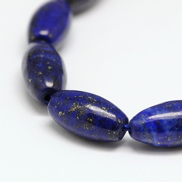 

PandaHall Natural Lapis Lazuli Rice Bead Strands, Dyed & Heated, Lapis Lazuli, 16x8mm, Hole: 1mm, about 24pcs/strnd, 15 inch Lapis Lazuli..., Blue