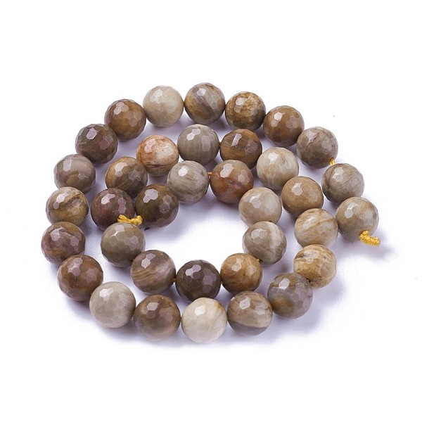 Natural Petrified W… - image