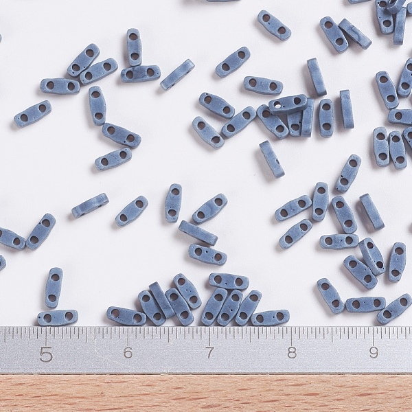 

PandaHall MIYUKI Quarter TILA Beads, Japanese Seed Beads, 2-Hole, (QTL2001) Matte Gunmetal, 5x1.2x1.9mm, Hole: 0.8mm, about 480pcs/10g Glass..., Black