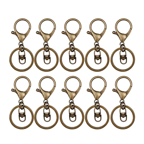 10Pca Iron with Zinc Alloy Keychain Clasps