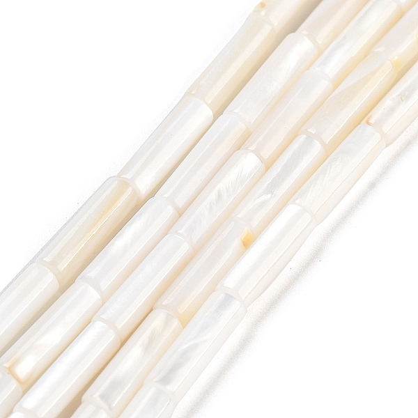 

PandaHall Freshwater Shell Beads Strands, Column, White, 13x4mm, Hole: 0.5~1mm, about 30pcs/strand, 15 inch(38.1cm) Freshwater Shell Column...