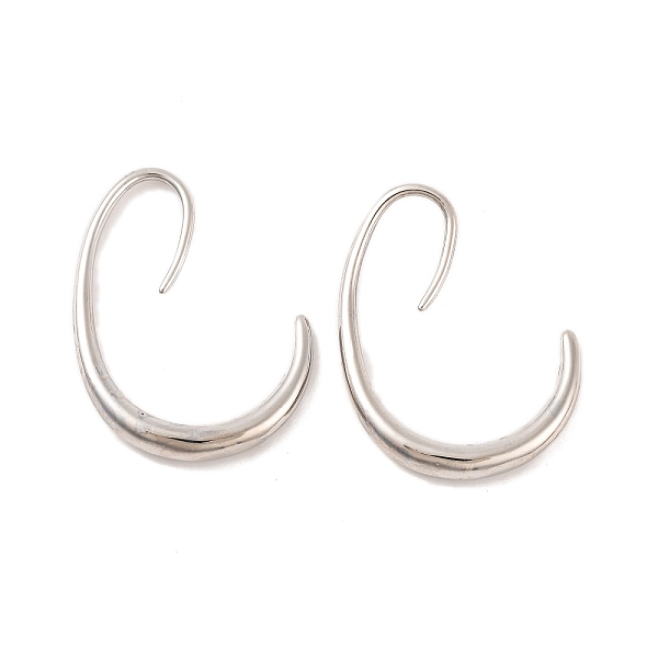 Brass Ear Wire - image