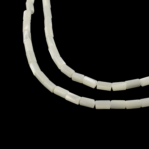 

PandaHall Column Natural Trochid Shell/Trochus Shell Beads Strands, 5~6x3.5mm, Hole: 0.5mm, about 68pcs/strand, 15.7 inch Trochus Shell...