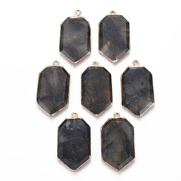 

PandaHall Natural Labradorite Pendants, with Golden Plated Iron Edge and Loop, Faceted, Polygon, 34~35x19x4mm, Hole: 1.8mm Labradorite...